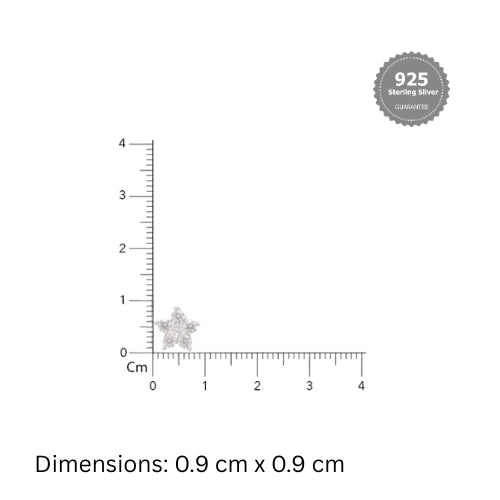 925 Silver Earrings|Dazzling Silver CZ Star Stud Earring